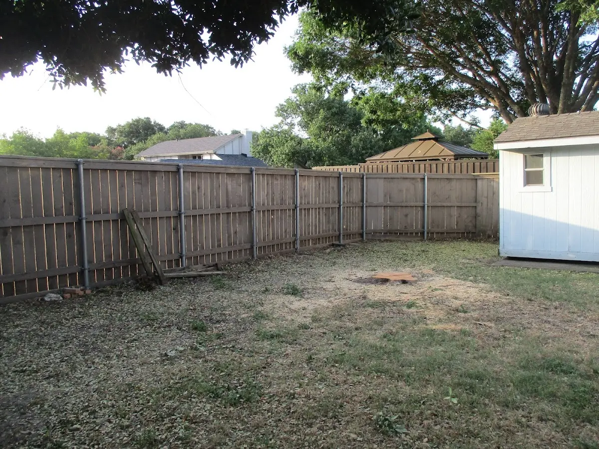 Cleared yard after professional tree removal in Fallentimber